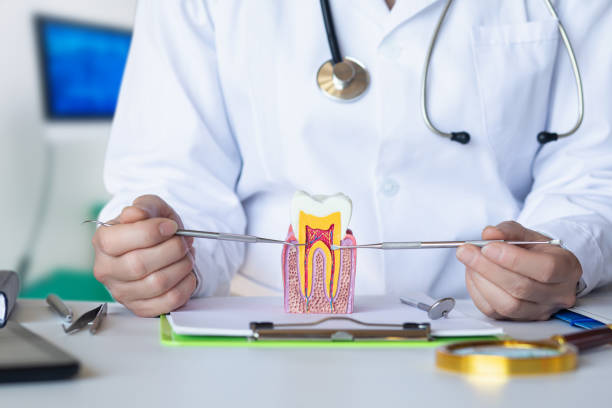 Best Emergency Dental Care for Abscessed Tooth in Gurdon, AR